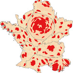 Profile picture of Dominique Andrieu